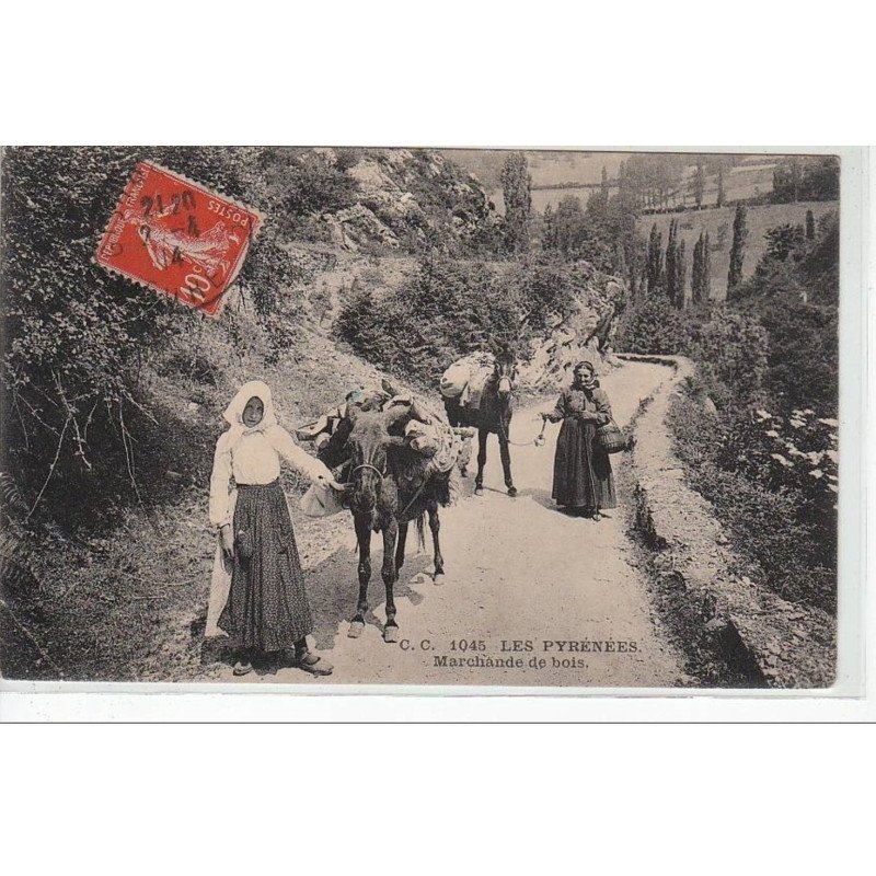 LES PYRENEES - Marchande de bois - état