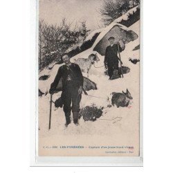 LES PYRENEES - Capture d'un jeune izard vivant - très bon état