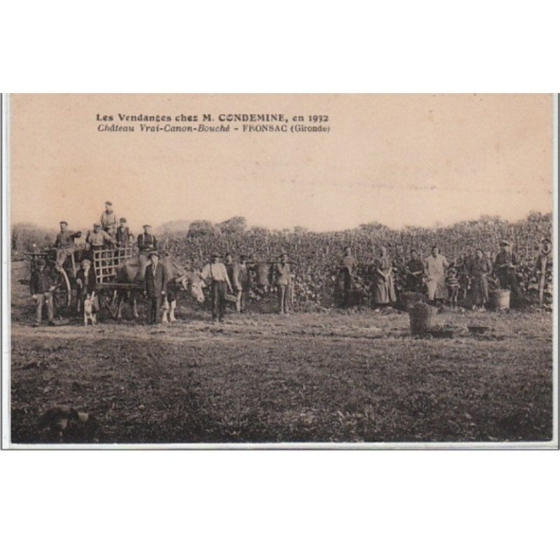 FRONSAC : les vendanges chez mr Condemine en 1932 - château Vrai-Canon-Bouché - très bon état