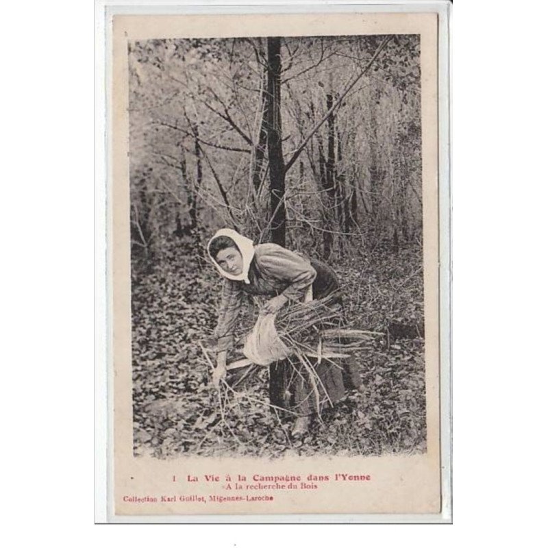 La vie à la campagne dans l'Yonne - à la recherche du bois - très bon état