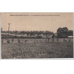 SARCELLES SAINT BRICE : la cueillette des petits-pois au Moulin de Copin - très bon état (timbre abîmé au verso)