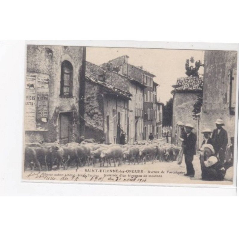 SAINT ETIENNE LES ORGUES - Avenue de Forcalquier - traversée d'un troupeau de moutons - très bon état