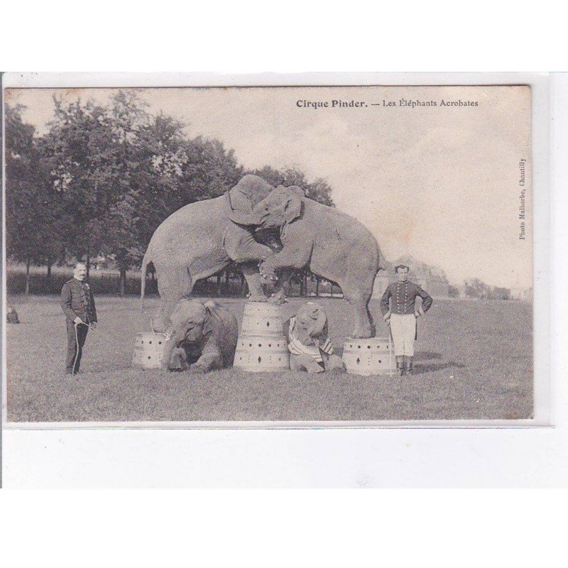 CHANTILLY - Cirque Pinder - Les Elephnants acrobates - état
