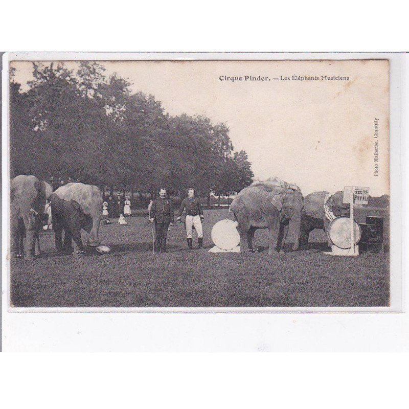 CHANTILLY - Cirque Pinder - Les Elephants Musiciens - état