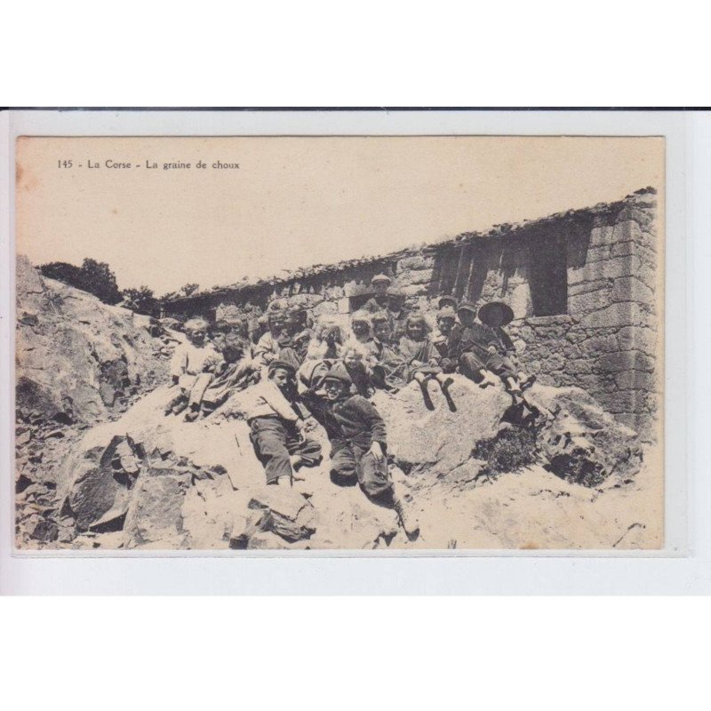 CORSE: la graine de choux, enfants - très bon état