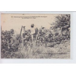 PORT-SAINT-FOY: colonie agricole protestante, le sulfatage de la vigne - très bon état