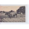 LANDES: laboureur landais, boeufs - très bon état