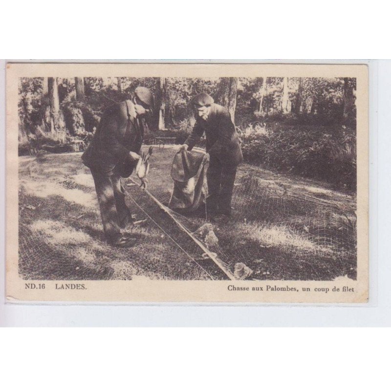 LANDES: chasse aux palombes, un coup de filet - état