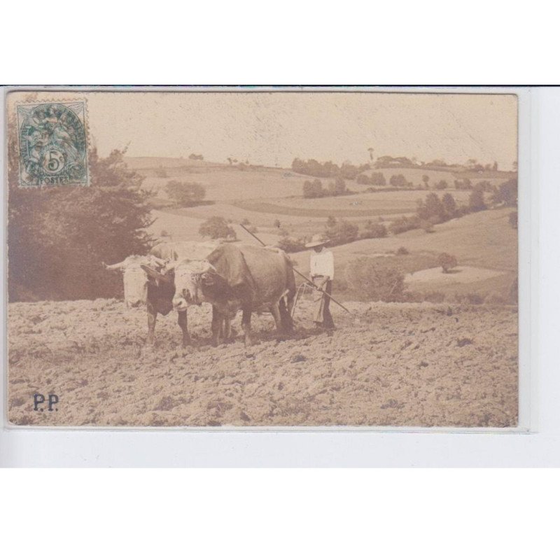 LOT et GARONNE: boeuf au labour, agriculture - très bon état
