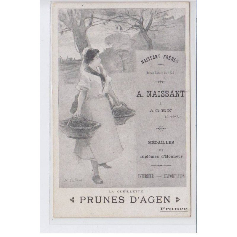 AGEN: A. Naissant, naissant frères, médailles et driplôme d'honneur prunes d'agen, cueuillette publicité - très bon état