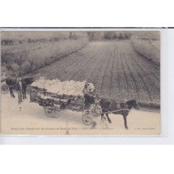 FREGIMONT: grand char d'expedition de chasselas de Mme sauriac - très bon état
