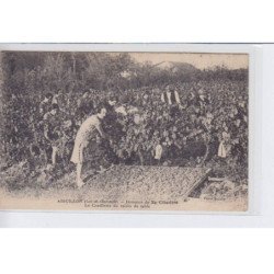 AIGUILLON: domaine de la cibadere la cueillette du raisin de table - très bon état