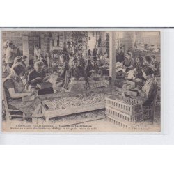 AIGUILLON: domaine de la cibadere atelier au centre des cultures ciselage et triage du raisin de table - très bon état