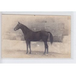 LAMORLAYE: haras Saint-Simon (lot de 6 CPA) hippisme - cheval - très bon état