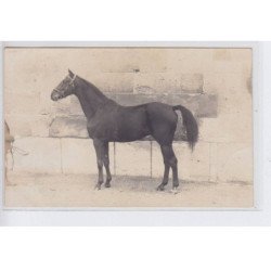 LAMORLAYE: haras Saint-Simon (lot de 6 CPA) hippisme - cheval - très bon état