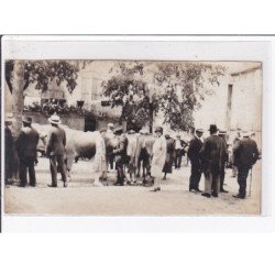 CASTELSARRASIN : photo format 8x14cm d'un marché aux boeufs en 1928 - très bon état