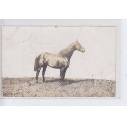 LAMORLAYE: haras Saint-Simon (lot de 6 CPA) hippisme - cheval - très bon état