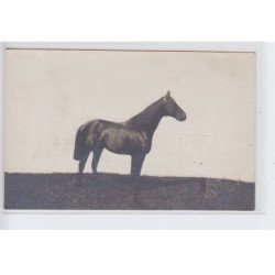 LAMORLAYE: haras Saint-Simon (lot de 6 CPA) hippisme - cheval - très bon état