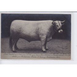 PARIS: boeuf charolais agé 3 ans 1055 kilos ayant obtenue le prix d'honneur au concours général 75009 - très bon état