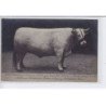 PARIS: boeuf charolais agé 3 ans 1055 kilos ayant obtenue le prix d'honneur au concours général 75009 - très bon état