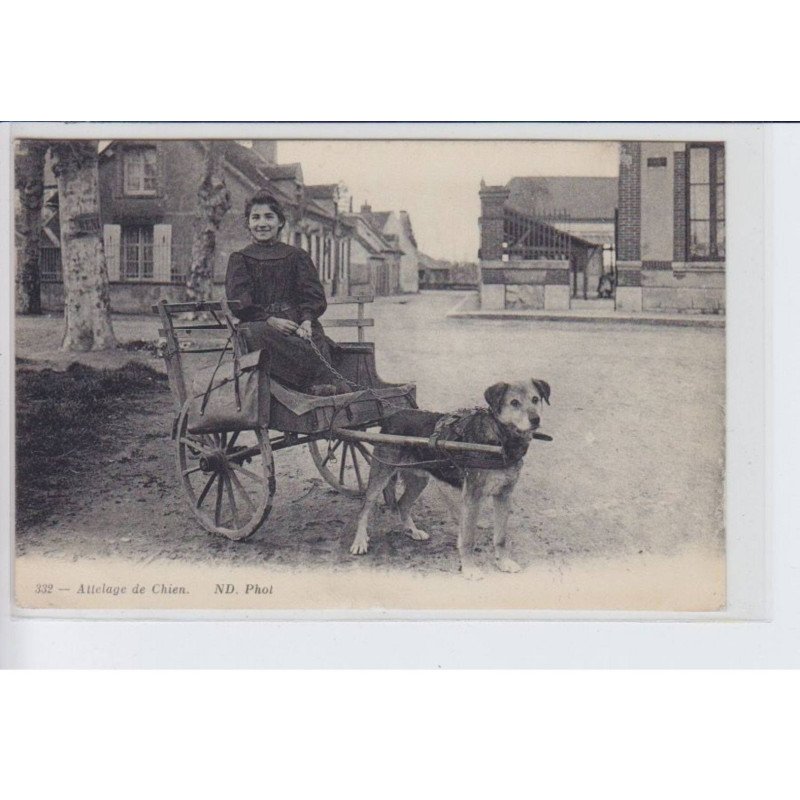 LORRIS: attelage de chien - très bon état