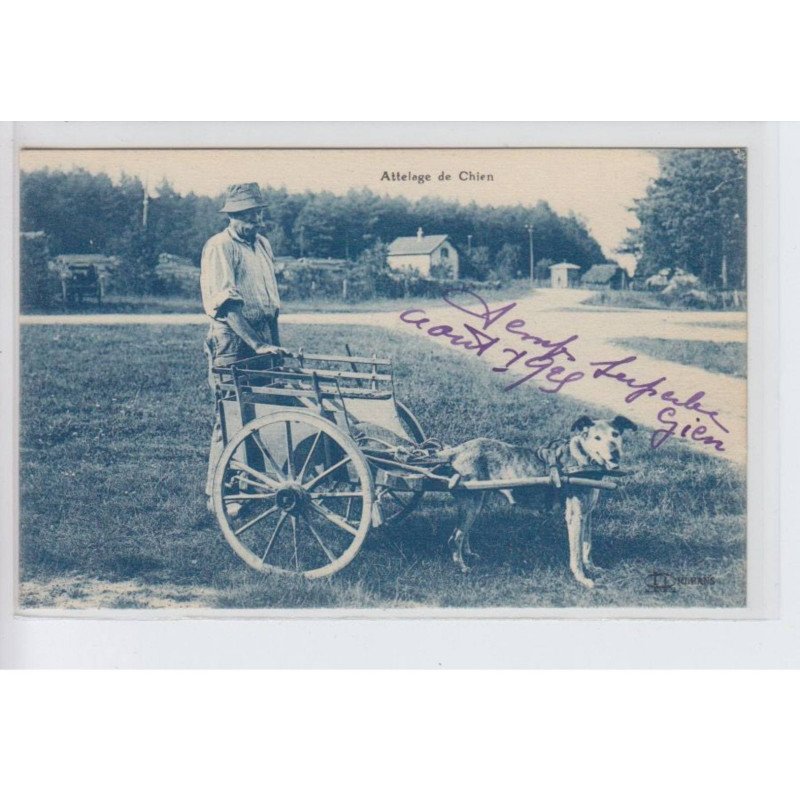LOIRET: attelage de chien - très bon état