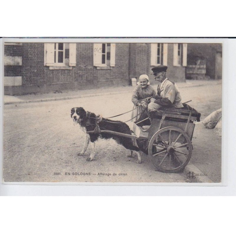 EN SOLOGNE: attelage de chien - état