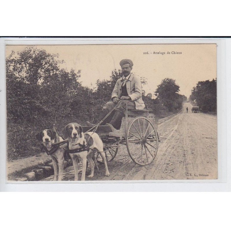 ORLEANS: attelage de chiens - très bon état