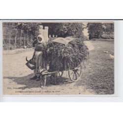 CHANGY-les-BOIS: attelage de chien - état