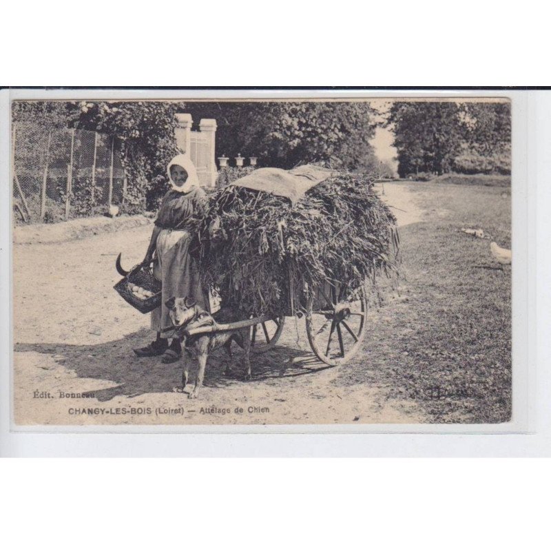 CHANGY-les-BOIS: attelage de chien - état