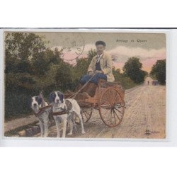 LOIRET: attelage de chiens - état