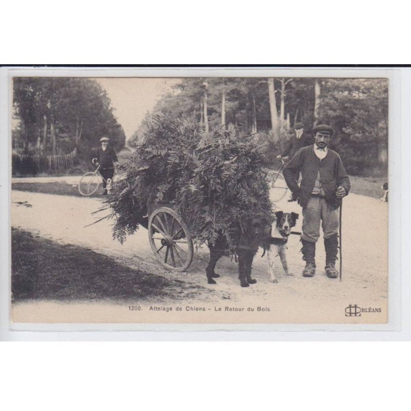 LOIRET: attelage de chiens, le retour du bois - très bon état