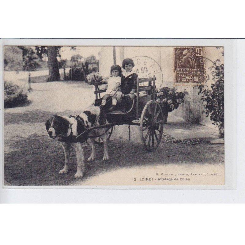 LOIRET: attelage de chien - état