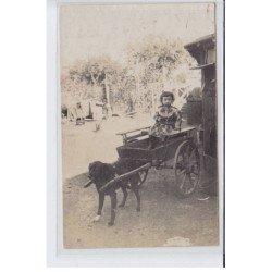 ARDENNES: voiture à chien - très bon état