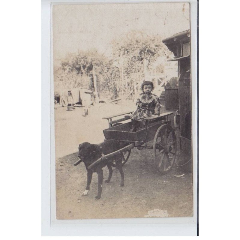 ARDENNES: voiture à chien - très bon état