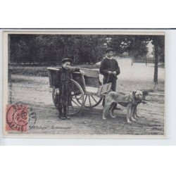 ARDENNES: voiture à chiens - très bon état