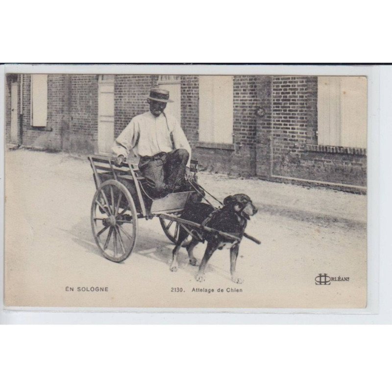 EN SOLOGNE: attelage de chien - très bon état