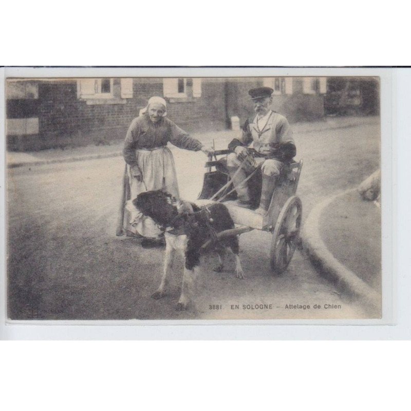 EN SOLOGNE: attelage de chien, voiture à chien - état