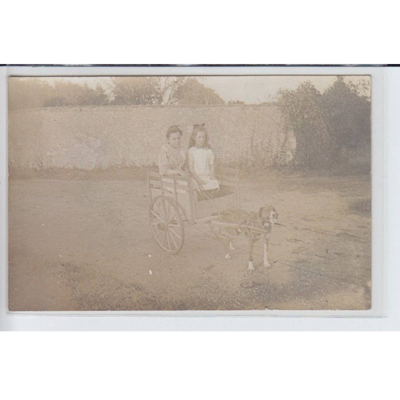 LOIR et CHER(?): voiture à chien - très bon état