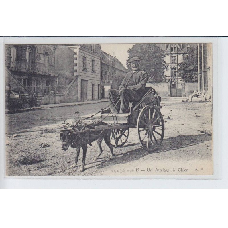 VENDOME: un attelage de chien, voiture à chien - très bon état VENDOME: un attelage de chien, voiture à chien - très bon état