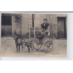 PONT-LEVOY: le courrier de thenay à pont)levoy, voiture à chien - très bon état
