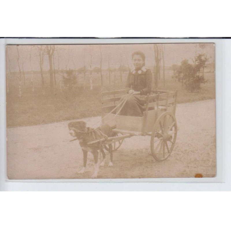 LOIR et CHER: voiture à chien - très bon état