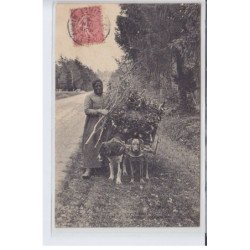 EN SOLOGNE: voiture à chien - très bon état