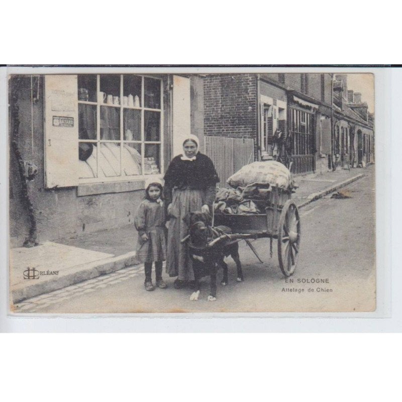 EN SOLOGNE: attelage de chien - très bon état