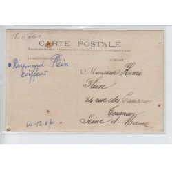 FRANCE - coiffeur raymond plein, G. Lecocq, service antiseptique, coiffures de mariées chien - état