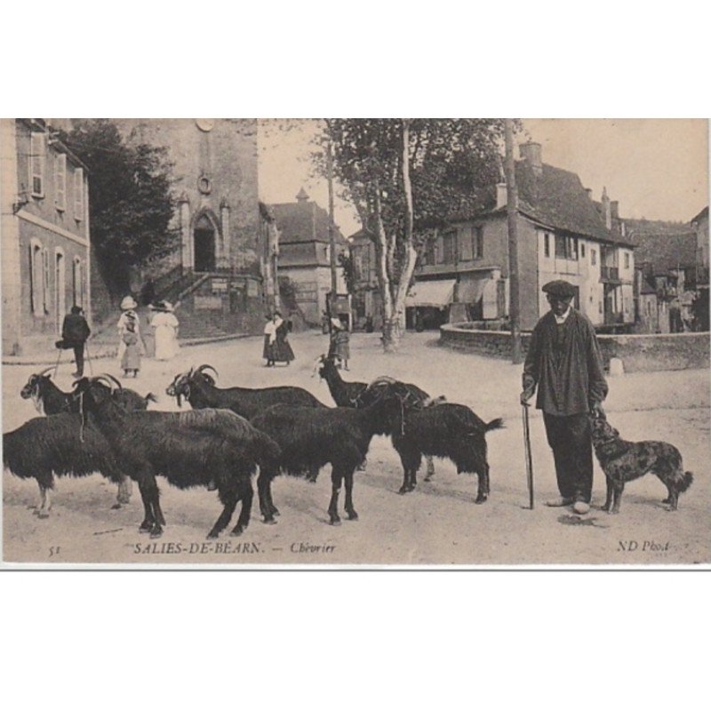 SALIES DE BEARN : le chévrier - très bon état
