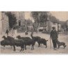 SALIES DE BEARN : le chévrier - très bon état