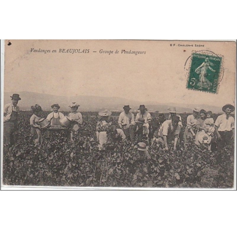 Les vendanges en Beaujolais - groupe de vendangeurs - très bon état