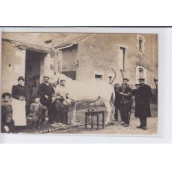 FRANCE: maréchal ferrant, cheval blanc - très bon état