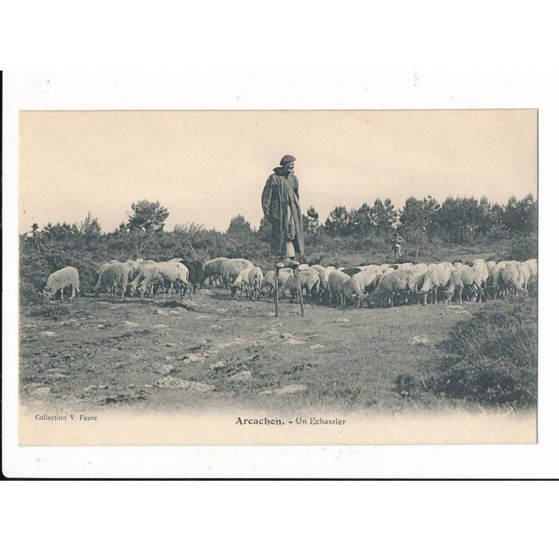 ARCACHON: un echassier - très bon état